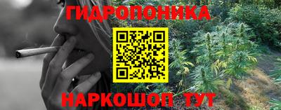 спайс Кулебаки