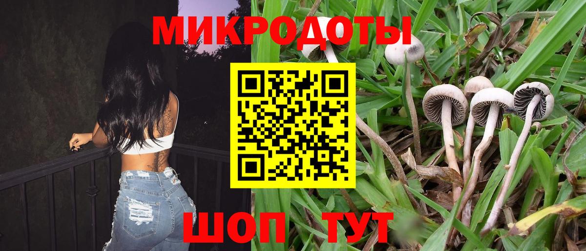 Галлюциногенные грибы мухоморы  Галлюциногенные грибы прущие грибы  Усть-Лабинск  Вход с VPN 